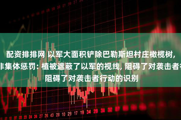 配资排排网 以军大面积铲除巴勒斯坦村庄橄榄树, 强调此举非集体惩罚: 植被遮蔽了以军的视线, 阻碍了对袭击者行动的识别