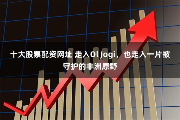 十大股票配资网址 走入Ol Jogi，也走入一片被守护的非洲原野